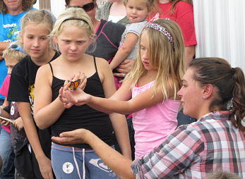 Prairie Fest Butterfly release Photo Credit: Darlene Kutzler