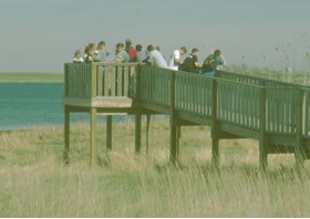 Observation Deck Credit:USFWS