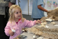 Furs and Skulls Credit:USFWS