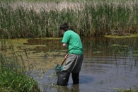 Catching Invertebrates Credit:USFWS