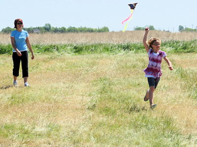 Kites "N Flight