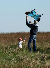 Kites 'N Flight Photo Credit: USFWS